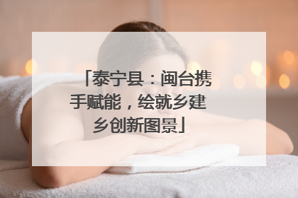 泰宁县：闽台携手赋能，绘就乡建乡创新图景