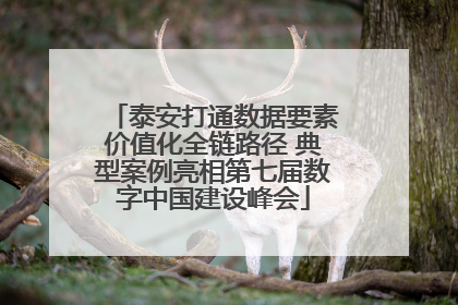 泰安打通数据要素价值化全链路径 典型案例亮相第七届数字中国建设峰会