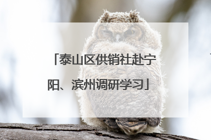 泰山区供销社赴宁阳、滨州调研学习