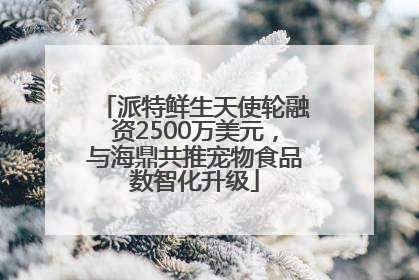 派特鲜生天使轮融资2500万美元，与海鼎共推宠物食品数智化升级