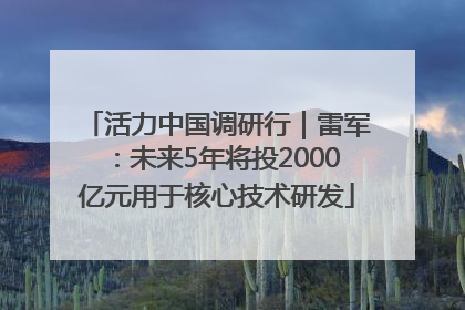 活力中国调研行｜雷军：未来5年将投2000亿元用于核心技术研发