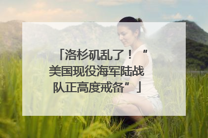 洛杉矶乱了！“美国现役海军陆战队正高度戒备”