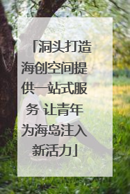 洞头打造海创空间提供一站式服务 让青年为海岛注入新活力