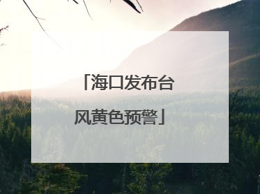 海口发布台风黄色预警