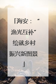 海安：“渔光互补” 绘就乡村振兴新图景