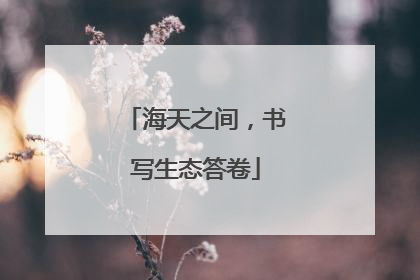 海天之间，书写生态答卷