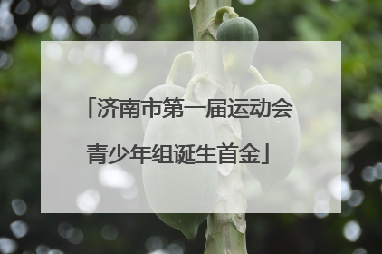 济南市第一届运动会青少年组诞生首金
