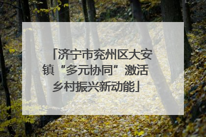 济宁市兖州区大安镇“多元协同”激活乡村振兴新动能
