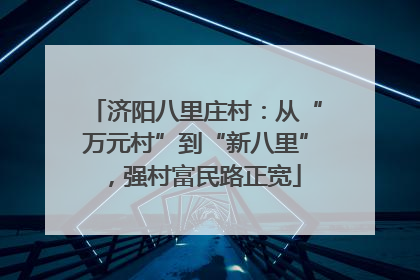 济阳八里庄村：从“万元村”到“新八里”，强村富民路正宽