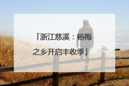 浙江慈溪：杨梅之乡开启丰收季