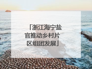 浙江海宁盐官推动乡村片区组团发展