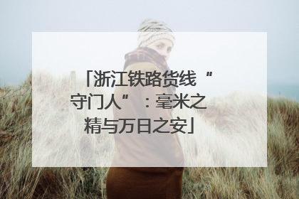 浙江铁路货线“守门人”：毫米之精与万日之安