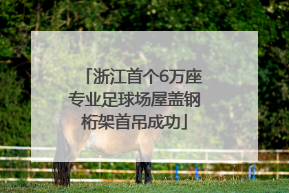 浙江首个6万座专业足球场屋盖钢桁架首吊成功