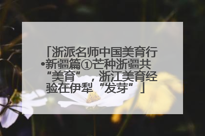 浙派名师中国美育行•新疆篇①芒种浙疆共“美育”，浙江美育经验在伊犁“发芽”