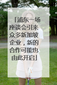 浦东一场座谈会引来众多新加坡企业，新的合作可能也由此开启