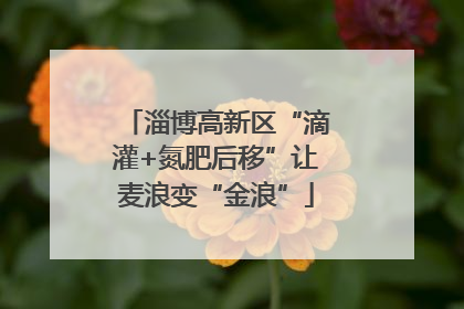淄博高新区“滴灌+氮肥后移”让麦浪变“金浪”