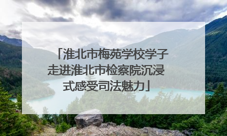 淮北市梅苑学校学子走进淮北市检察院沉浸式感受司法魅力
