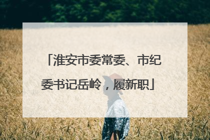 淮安市委常委、市纪委书记岳岭，履新职
