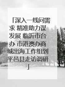 深入一线问需求 精准助力谋发展 临沂市台办 市港澳办商城出海工作组到平邑县走访调研