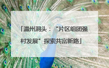 温州洞头：“片区组团强村发展”探索共富新路