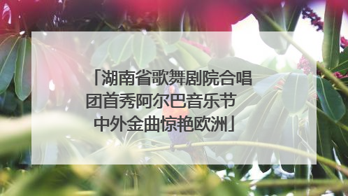 湖南省歌舞剧院合唱团首秀阿尔巴音乐节 中外金曲惊艳欧洲