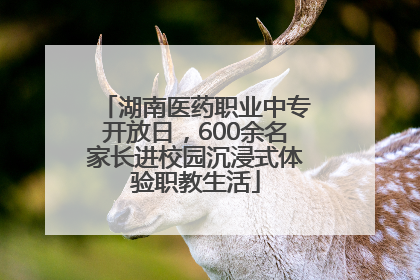 湖南医药职业中专开放日，600余名家长进校园沉浸式体验职教生活