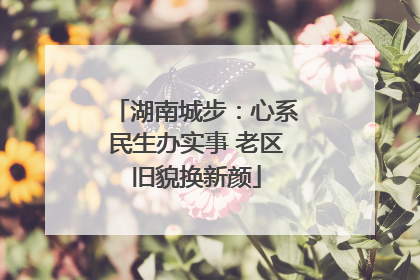 湖南城步：心系民生办实事 老区旧貌换新颜
