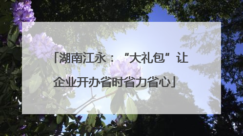 湖南江永：“大礼包”让企业开办省时省力省心