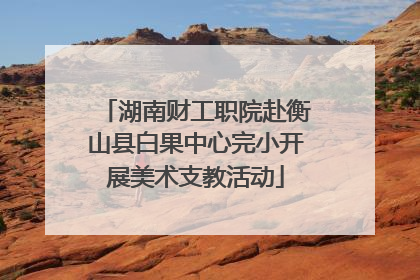 湖南财工职院赴衡山县白果中心完小开展美术支教活动