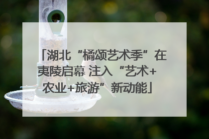 湖北“橘颂艺术季”在夷陵启幕 注入“艺术+农业+旅游”新动能
