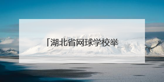 湖北省网球学校举办2025年校园开放日系列活动