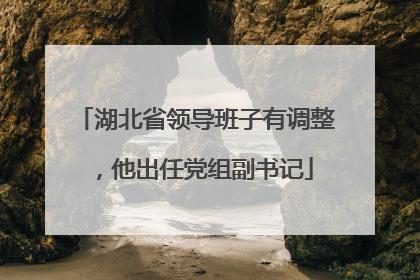 湖北省领导班子有调整，他出任党组副书记