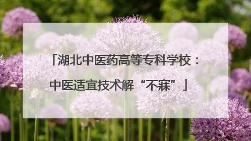 湖北中医药高等专科学校：中医适宜技术解“不寐”