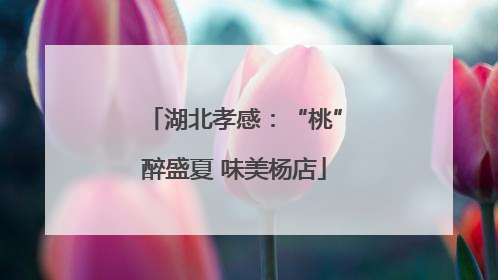 湖北孝感：“桃”醉盛夏 味美杨店