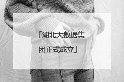 湖北大数据集团正式成立
