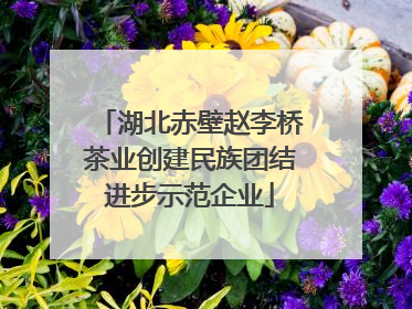 湖北赤壁赵李桥茶业创建民族团结进步示范企业