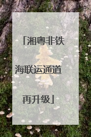 湘粤非铁海联运通道再升级