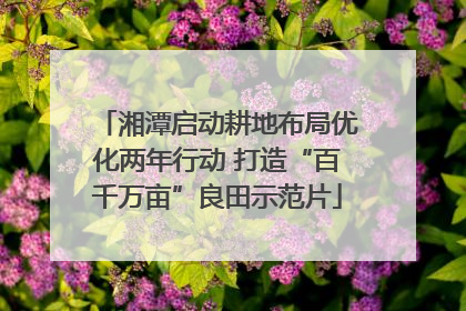 湘潭启动耕地布局优化两年行动 打造“百千万亩”良田示范片