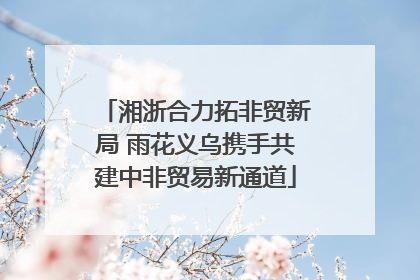 湘浙合力拓非贸新局 雨花义乌携手共建中非贸易新通道
