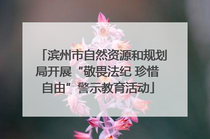 滨州市自然资源和规划局开展“敬畏法纪 珍惜自由”警示教育活动