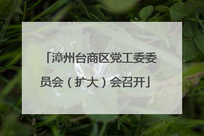 漳州台商区党工委委员会（扩大）会召开