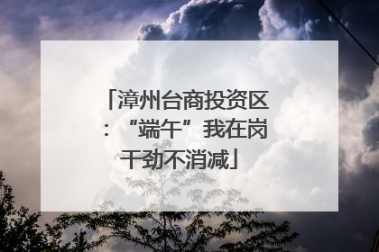漳州台商投资区：“端午”我在岗 干劲不消减