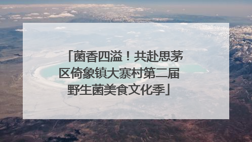 菌香四溢！共赴思茅区倚象镇大寨村第二届野生菌美食文化季