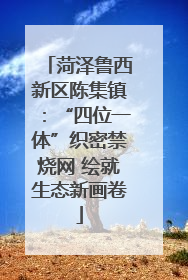 菏泽鲁西新区陈集镇：“四位一体”织密禁烧网 绘就生态新画卷