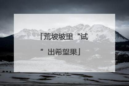 荒坡坡里“试”出希望果