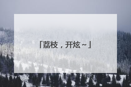 荔枝，开炫～