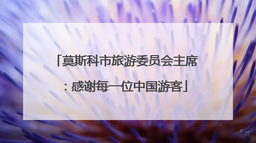莫斯科市旅游委员会主席：感谢每一位中国游客