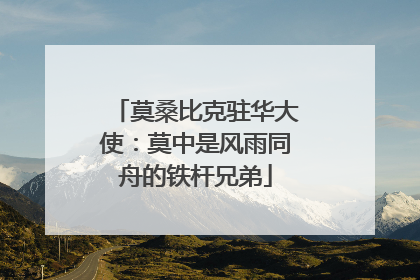 莫桑比克驻华大使：莫中是风雨同舟的铁杆兄弟