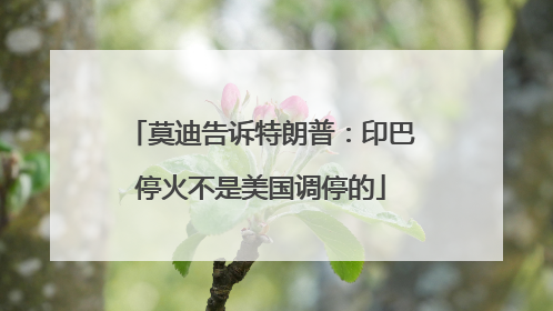 莫迪告诉特朗普：印巴停火不是美国调停的