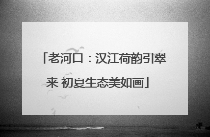 老河口：汉江荷韵引翠来 初夏生态美如画